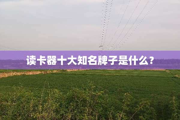 读卡器十大知名牌子是什么？