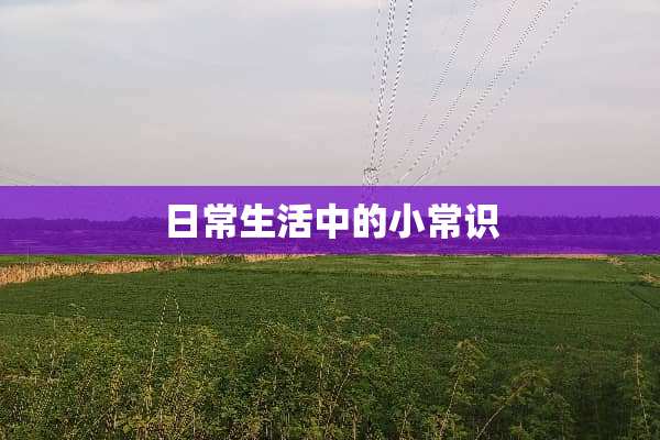 日常生活中的小常识