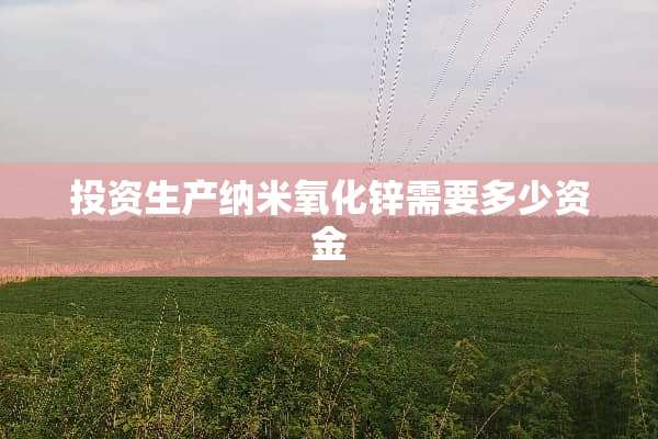 投资生产纳米**锌需要多少资金