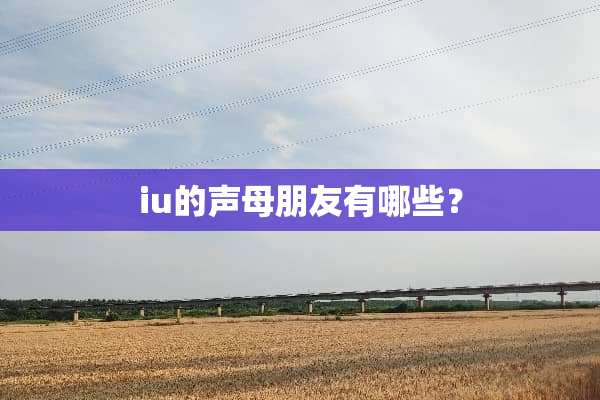 iu的声母朋友有哪些？