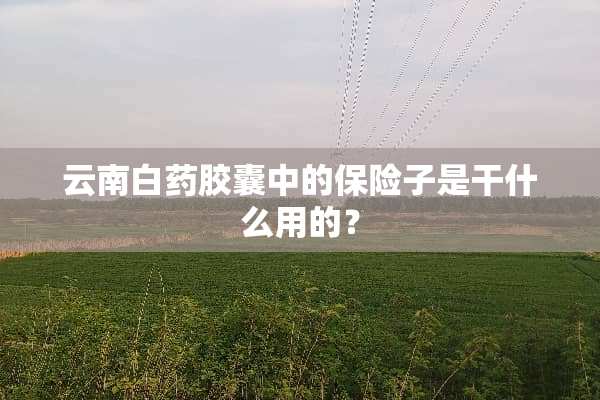云南白药胶囊中的保险子是干什么用的？