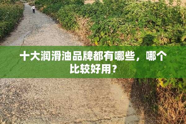 十大润滑油品牌都有哪些，哪个比较好用？