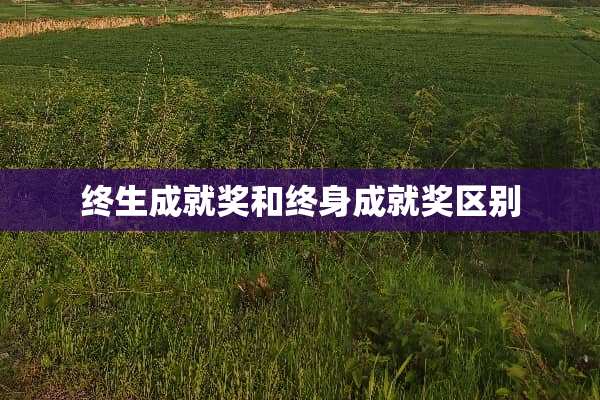 终生成就奖和终身成就奖区别
