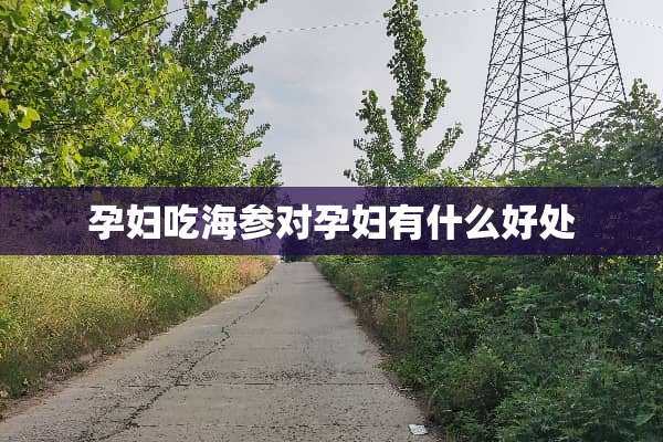 孕妇吃海参对孕妇有什么好处