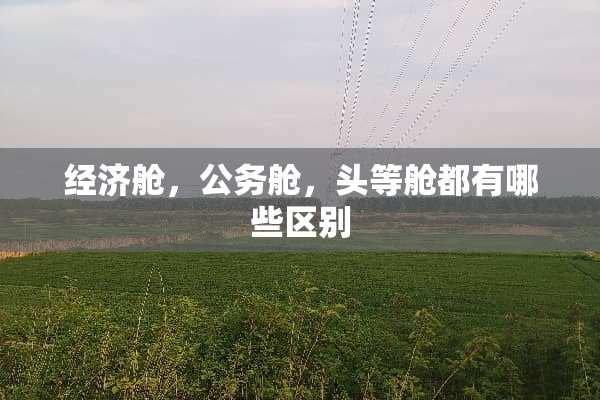 经济舱，公务舱，头等舱都有哪些区别