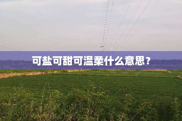 可盐可甜可温柔什么意思？