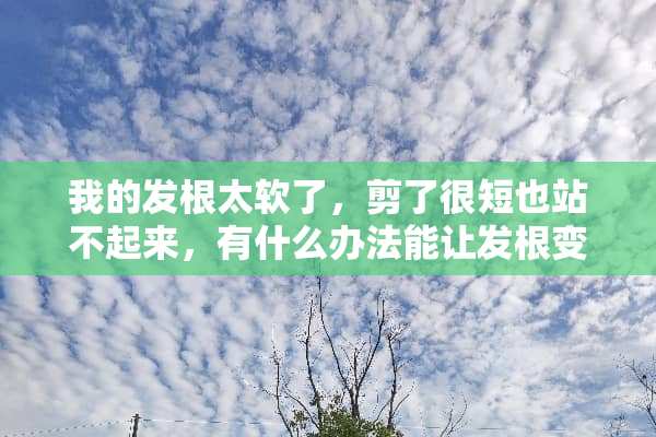 我的发根太软了，剪了很短也站不起来，有什么办法能让发根变硬点？