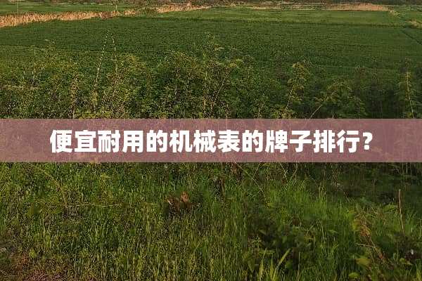 便宜耐用的机械表的牌子排行？