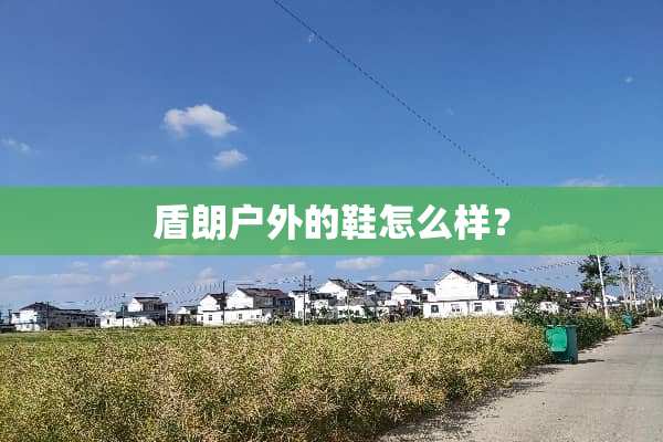 盾朗户外的鞋怎么样？