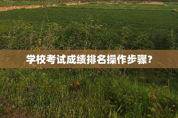 学校考试成绩排名操作步骤？