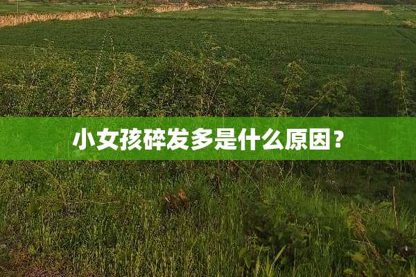小女孩碎发多是什么原因？