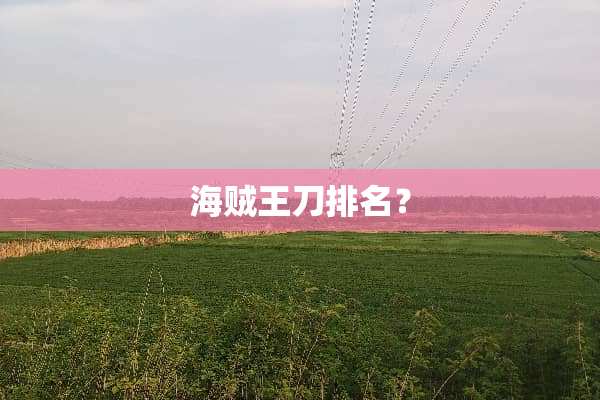 海贼王刀排名？