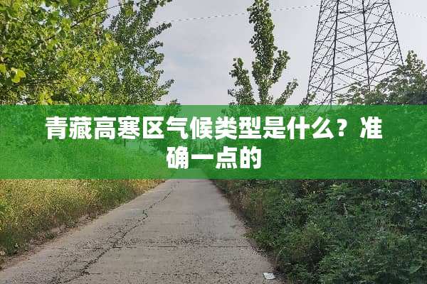 青藏高寒区气候类型是什么？准确一点的