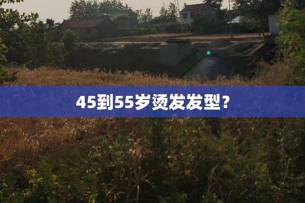 45到55岁烫发发型？