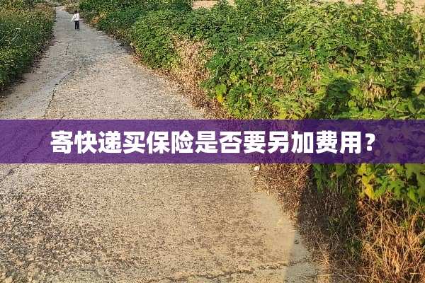 寄快递买保险是否要另加费用？