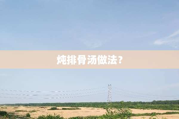 炖排骨汤做法？