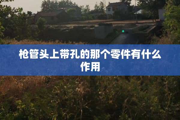 *管头上带孔的那个零件有什么作用