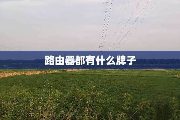 路由器都有什么牌子