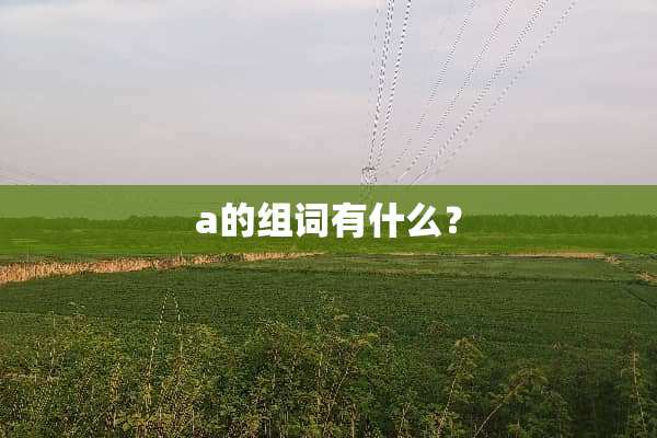 a的组词有什么？