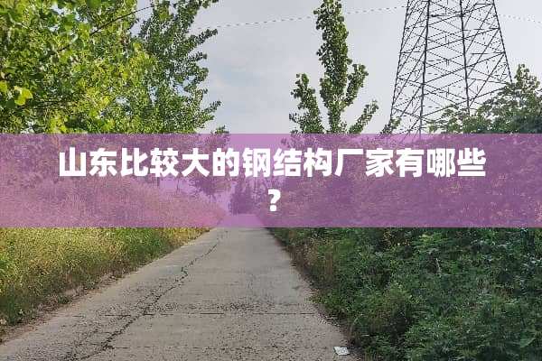 山东比较大的钢结构厂家有哪些？