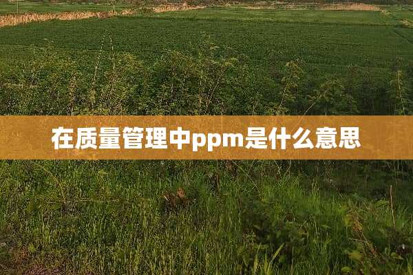 在质量管理中ppm是什么意思