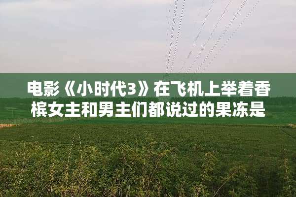 电影《小时代3》在飞机上举着香槟女主和男主们都说过的果冻是什么意思？