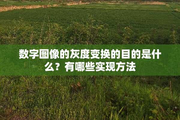 数字图像的灰度变换的目的是什么？有哪些实现方法