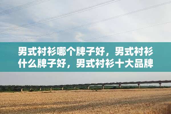 男式衬衫哪个牌子好，男式衬衫什么牌子好，男式衬衫十大品牌排名？