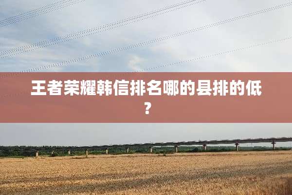 王者荣耀韩信排名哪的县排的低？