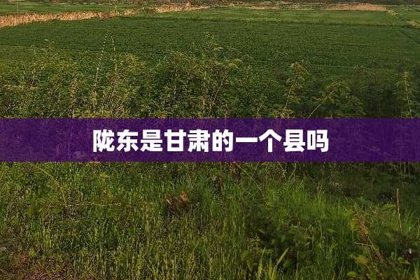 陇东是甘肃的一个县吗