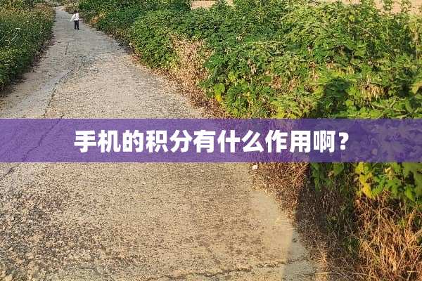 手机的积分有什么作用啊？