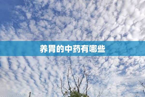 养胃的中药有哪些