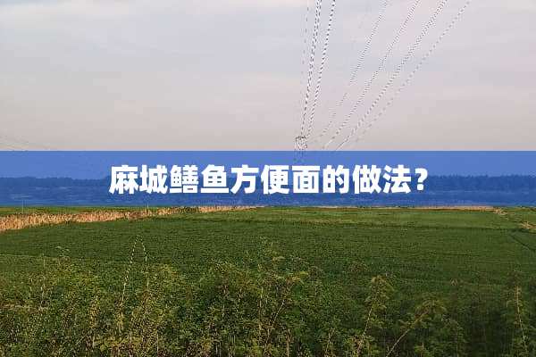 麻城鳝鱼方便面的做法？