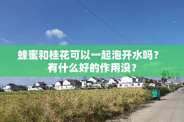 蜂蜜和桂花可以一起泡开水吗？ 有什么好的作用没？