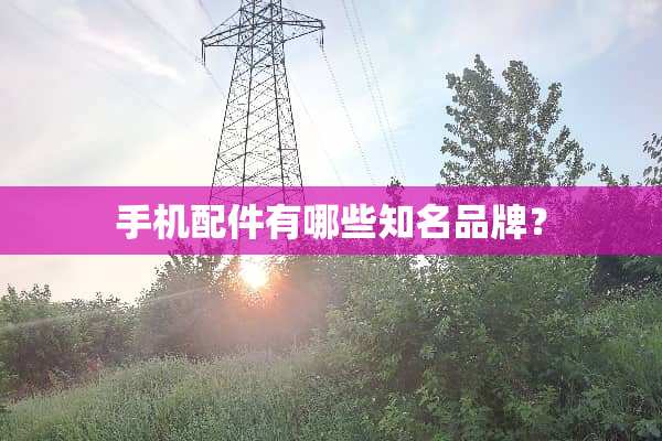 手机配件有哪些知名品牌？