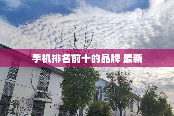 手机排名前十的品牌 最新