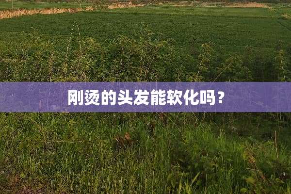 刚烫的头发能软化吗？