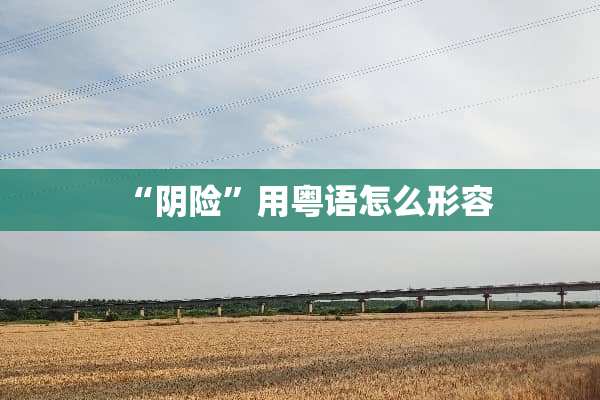 “*险”用粤语怎么形容