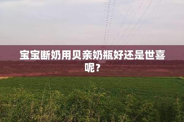 宝宝断奶用贝亲奶瓶好还是世喜呢？