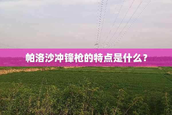 帕洛沙冲锋*的特点是什么？