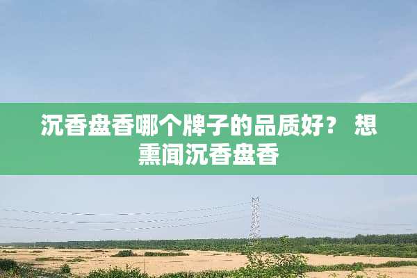 沉香盘香哪个牌子的品质好？ 想熏闻沉香盘香