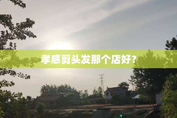 孝感剪头发那个店好？