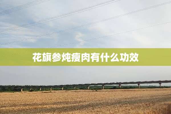 花旗参炖瘦肉有什么功效