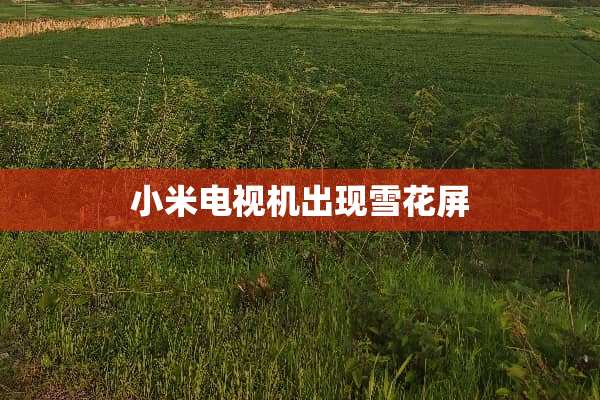 小米电视机出现雪花屏