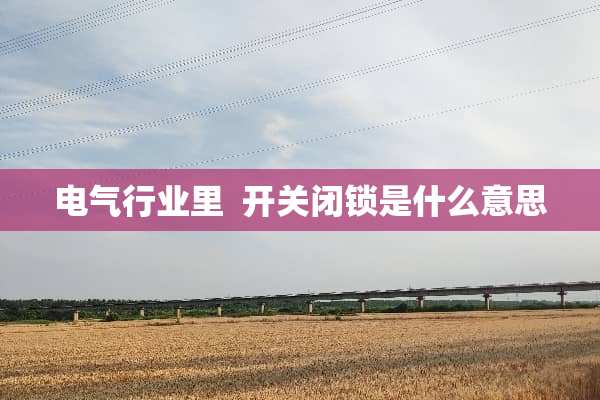 电气行业里  开关闭锁是什么意思