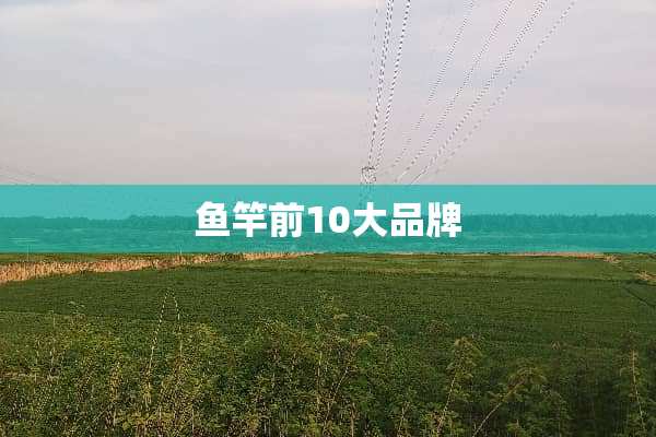 鱼竿前10大品牌