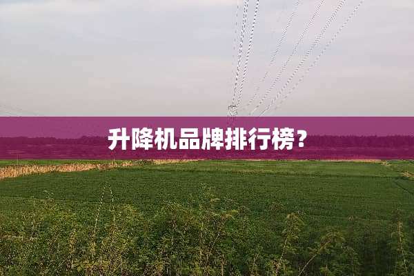 升降机品牌排行榜？
