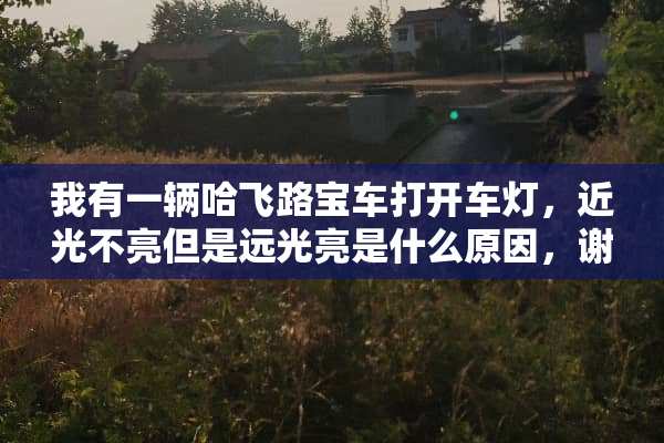 我有一辆哈飞路宝车打开车灯，近光不亮但是远光亮是什么原因，谢谢。