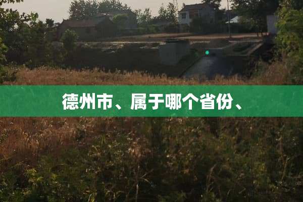 德州市、属于哪个省份、
