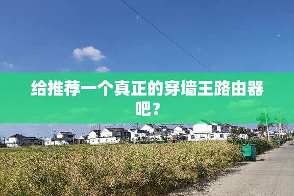 给推荐一个真正的穿墙王路由器吧？
